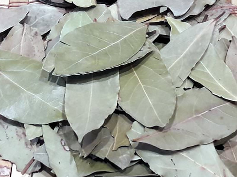 Bay Leaves (40g)