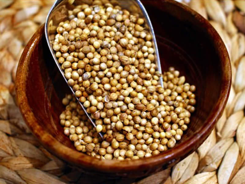 Coriander Seeds (100g)