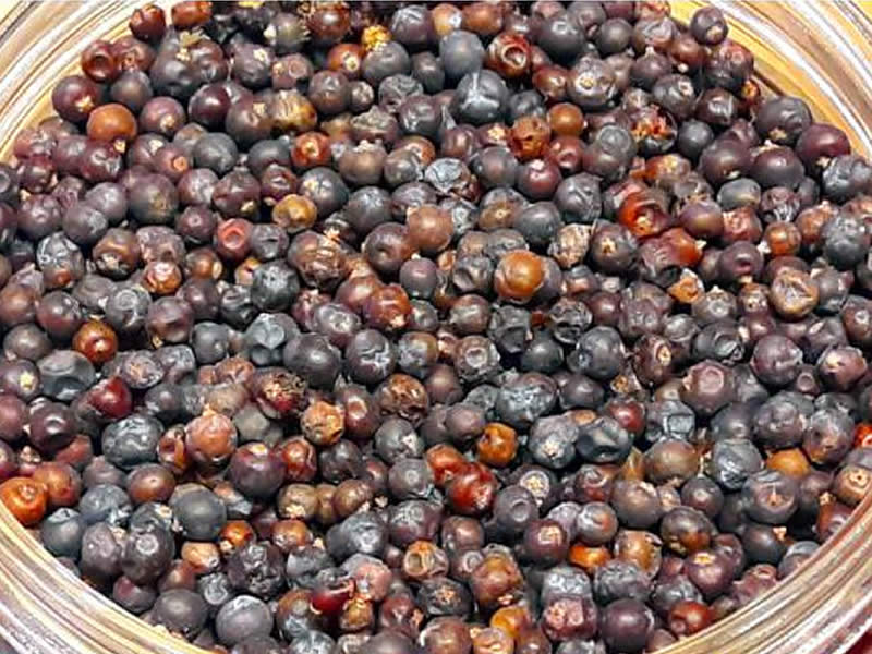 Juniper Berries (100g)