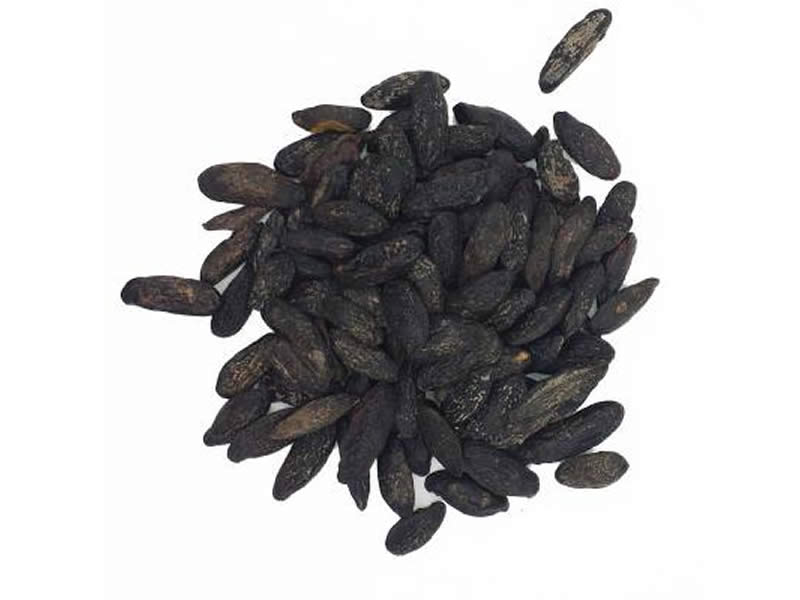 Tonka Beans (50g)