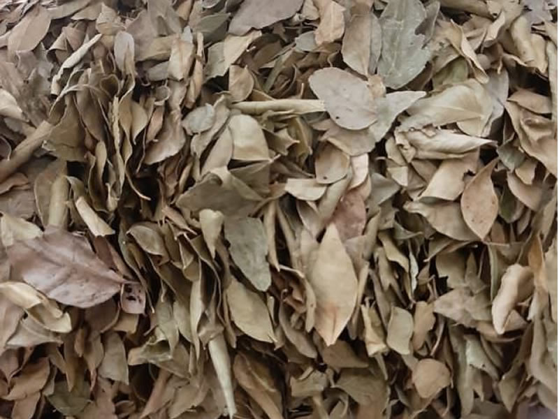 Organic Curry Leaves (25g)